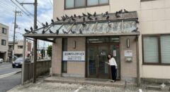 ハト　事務所　北九州市　フン