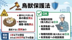 ハト フン 東峰村
