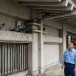 北九州市の郵便局必見！業務を止めないハト被害の確実な防鳥対策