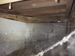 ハネアリ　小倉北区