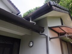 アライグマ駆除　中津市
