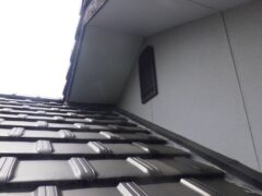 アライグマ駆除　中津市