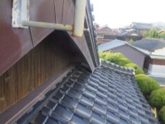 イタチ駆除 猫侵入防止 芦屋町