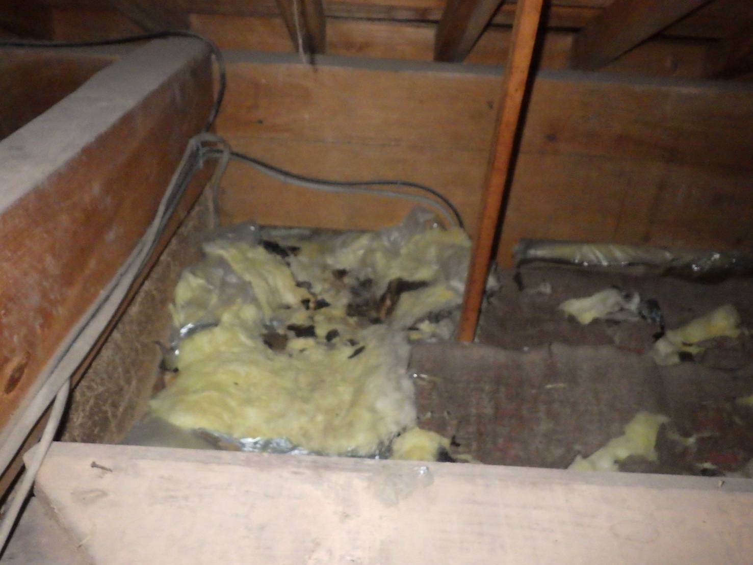 イタチ駆除 猫侵入防止 芦屋町