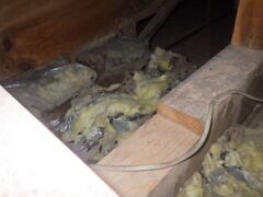 イタチ駆除 猫侵入防止 芦屋町