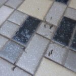 ハネアリ　小倉北区