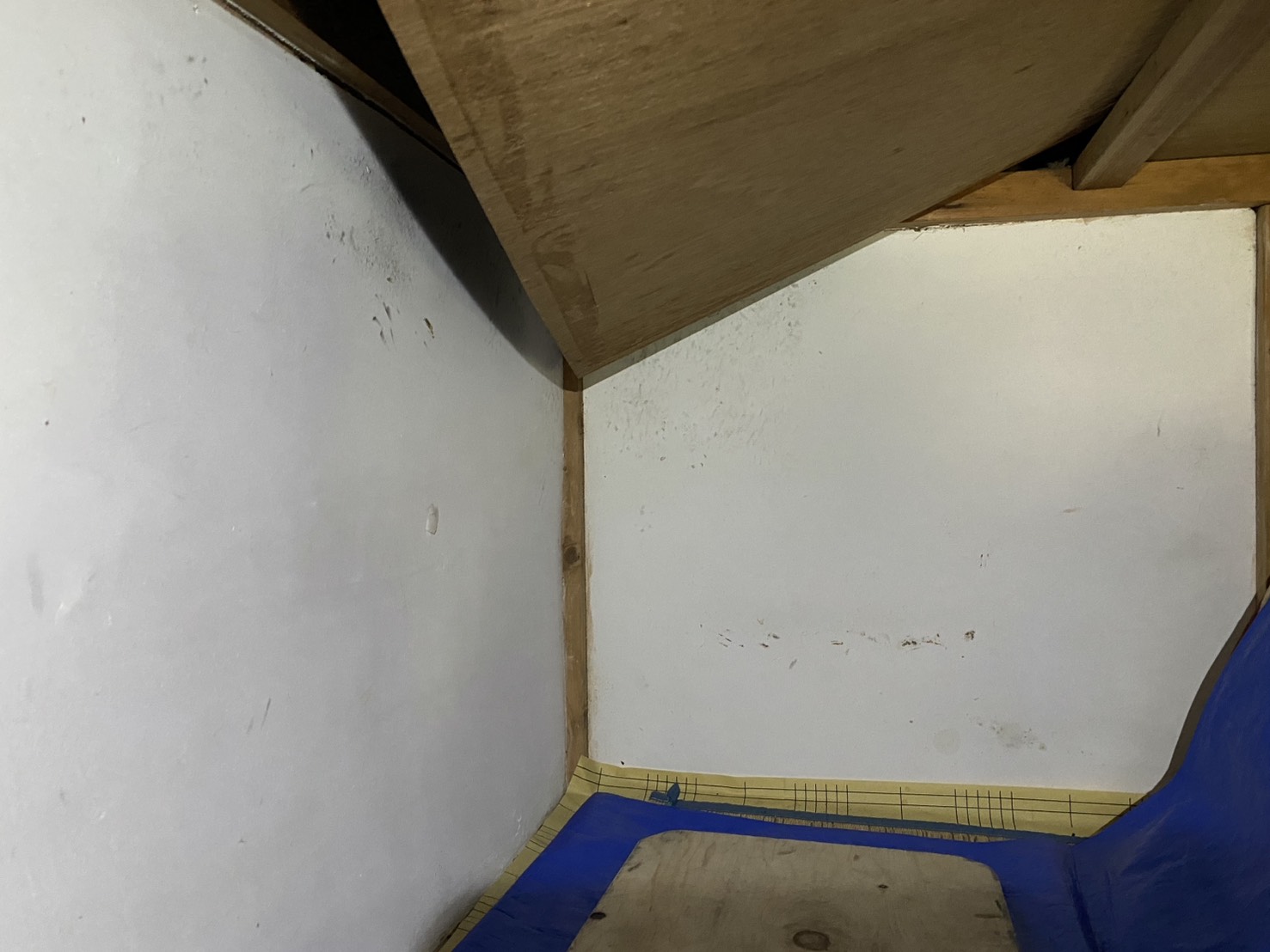 イタチ駆除 福智町