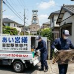 アライグマ駆除を志免町で。まずは無料調査で点検
