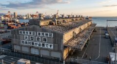 ハト 倉庫 福岡市東区