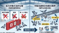 鳥獣保護法によるハト駆除の制限と自力対策の限界