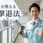 鳩 撃退法をプロが暴露！被害レベル別3つの対策と自力の限界