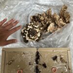 北九州市小倉の工場でスズメバチ駆除と巣の撤去事例