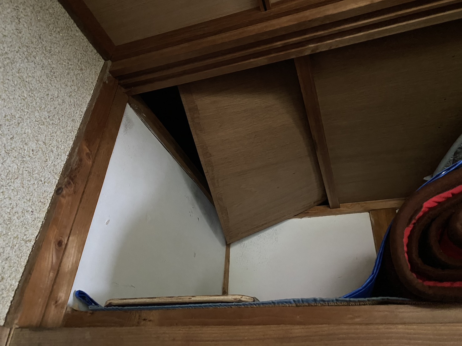 イタチ駆除 福智町