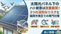 ハト 太陽光パネル 福岡市東区