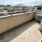 嘉麻市でハトのフン被害！安全な掃除法とプロが教える完全撃退術
