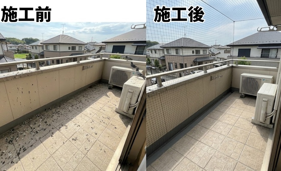 ハト フン 嘉麻市