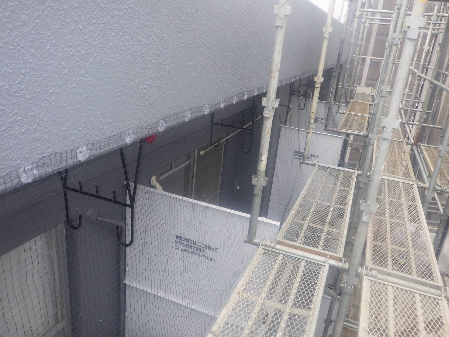 ハト駆除　マンション　小倉南区