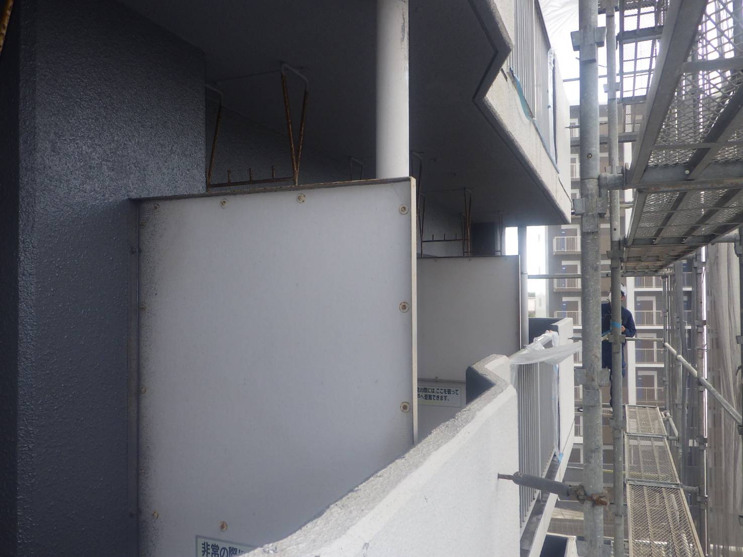 ハト駆除　マンション　小倉南区