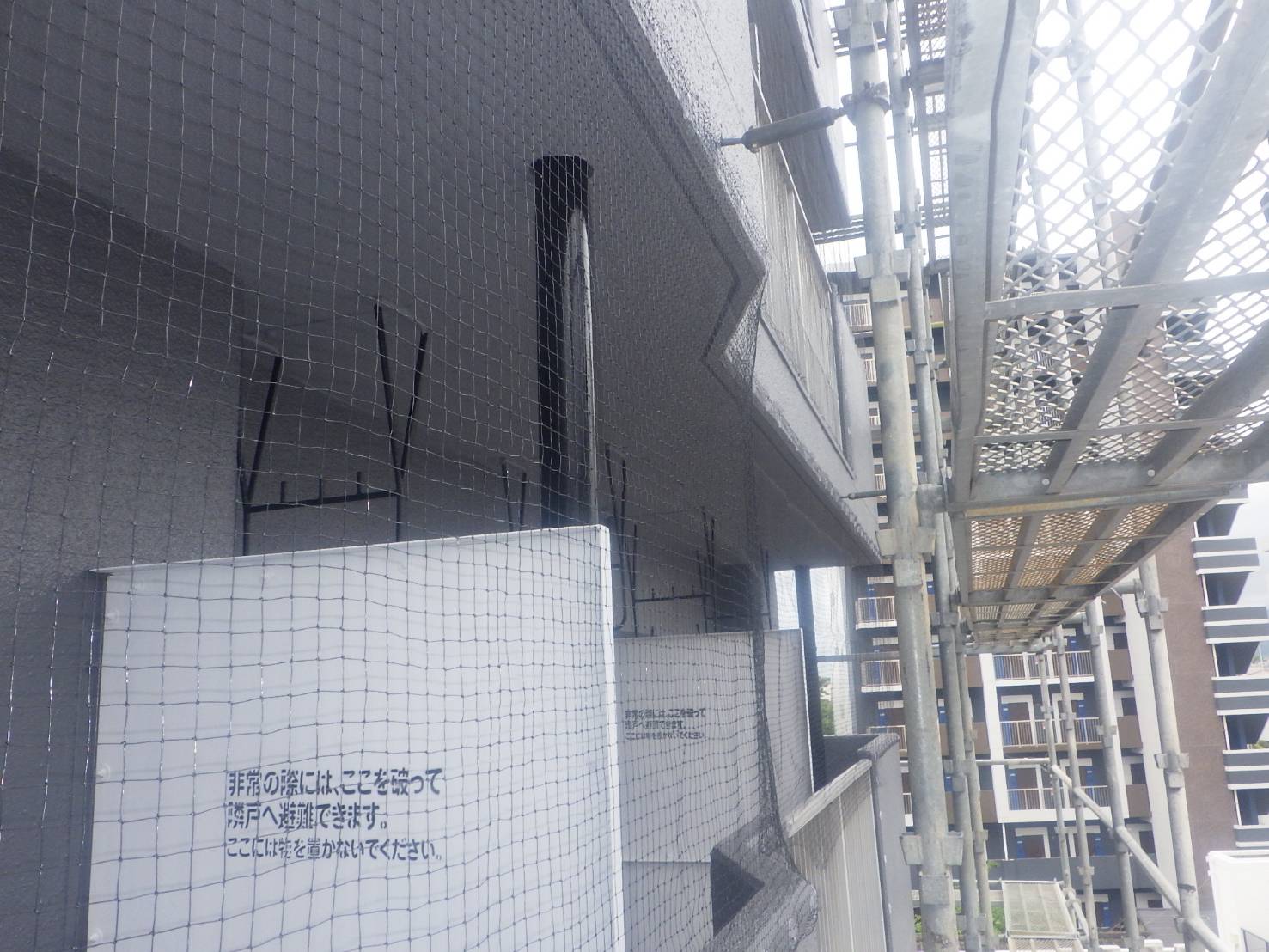ハト駆除　マンション　小倉南区