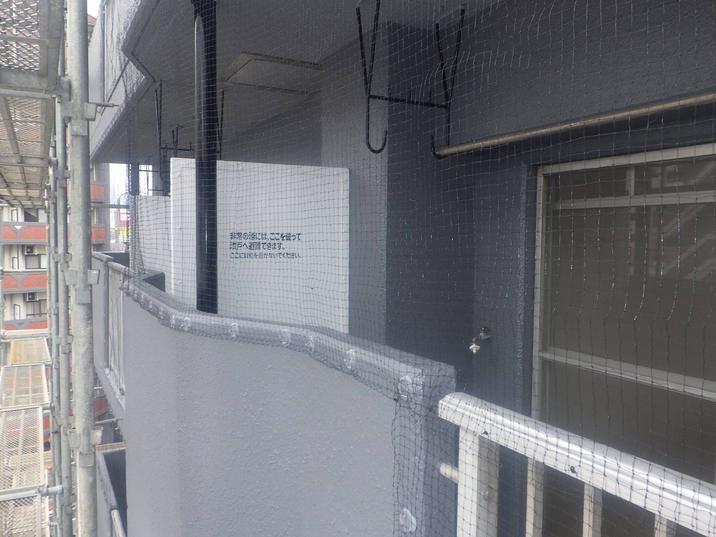 ハト駆除　マンション　小倉南区