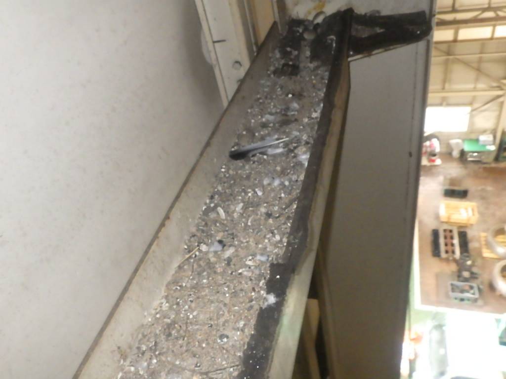 ハト 工場 筑紫野市