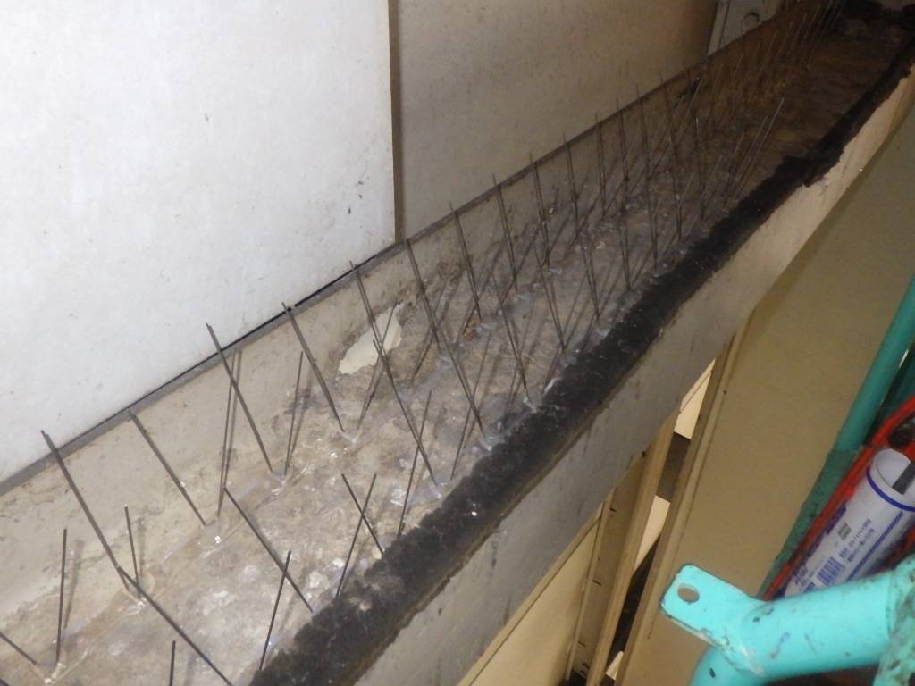 ハト 工場 筑紫野市