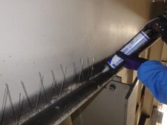 ハト 工場 筑紫野市