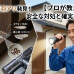【羽アリを八幡東区で発見】絶対NGな対処法とシロアリの見分け方をプロが解説