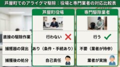 芦屋町でのアライグマ駆除：役場と専門業者の対応比較表