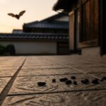 福岡市南区で玄関のコウモリ被害！最短即日で解決するプロの駆除法
