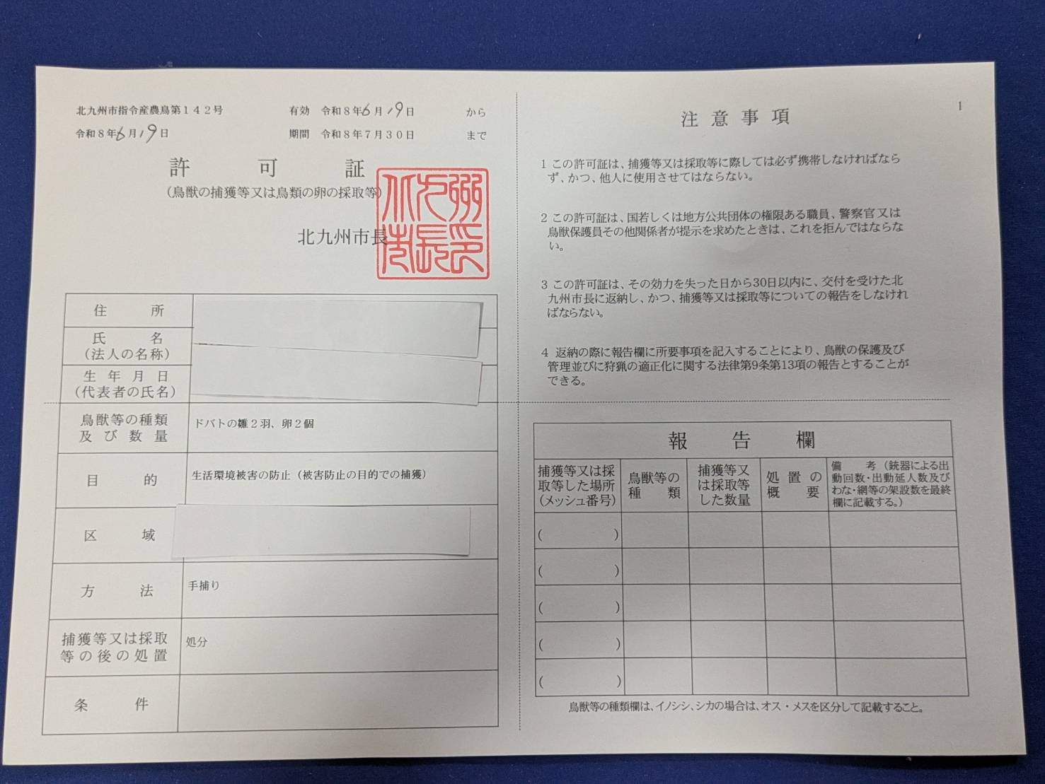 ハトを捕獲する許可 北九州市