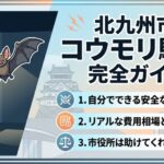 コウモリが家の中に！【北九州市】すぐできる対策と駆除の費用相場