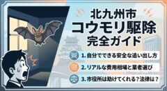 コウモリ 家の中 北九州市