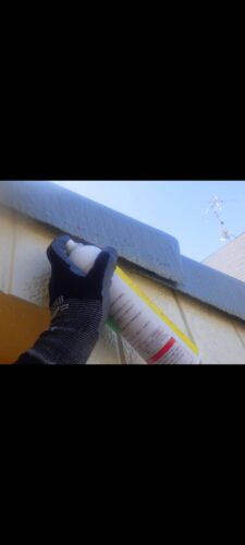 コウモリ駆除 屋根 福岡市