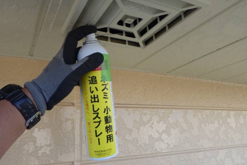 コウモリ駆除 屋根 福岡市