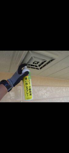 コウモリ フン 小倉北区