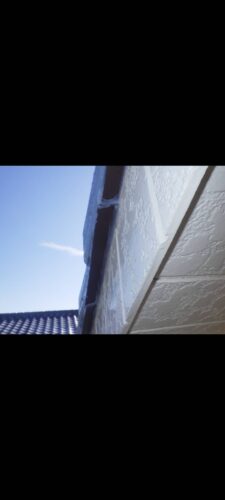 コウモリ駆除 屋根 福岡市