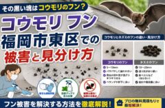 コウモリ フン 福岡市東区
