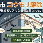 コウモリ駆除（福岡市）料金のリアル！騙されない業者選び3箇条