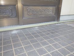 ムカデ　家の中　戸畑区