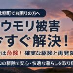 コウモリ駆除 岡垣町でおすすめの専門業者！費用相場と確実な選び方