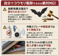 自分でコウモリ駆除を行うリスクと法律違反の注意点