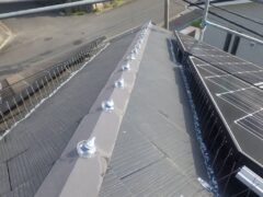 ハト 太陽光パネル 小倉北区
