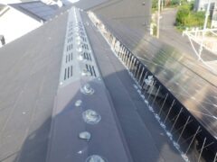 ハト 太陽光パネル 小倉北区