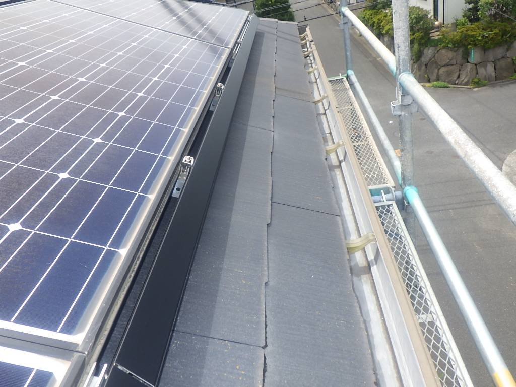 ハト 太陽光パネル 小倉北区