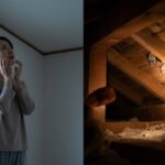確実なコウモリ対策 小倉北区の優良業者に任せて安心の3年保証