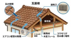 屋根の隙間から侵入するコウモリの図解