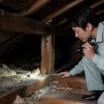 アライグマは屋根裏のどこから入る？侵入経路と対策をプロが解説
