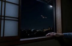 夜、部屋の照明を消し、大きく開けた窓からコウモリが外へ飛び去る様子。