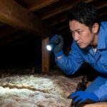 下関市の住宅街にある一軒家の屋根裏で、害獣の侵入痕跡(断熱材の下など)を点検する日本人専門業者。